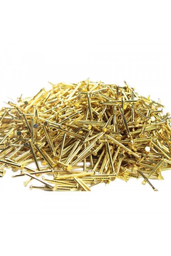 Altın Sarı Renk Düzbaş Filografi Çivisi - 250 Gr Paket Altın Sarı Renk Düzbaş Filografi Çivisi - 250 Gr Paket