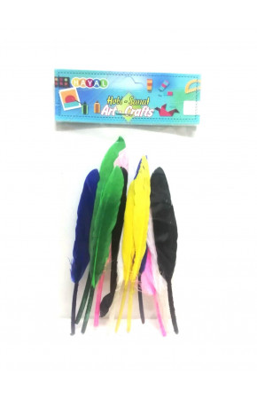 Hayal Sepeti Kuş Tüyü Renkli 12adet