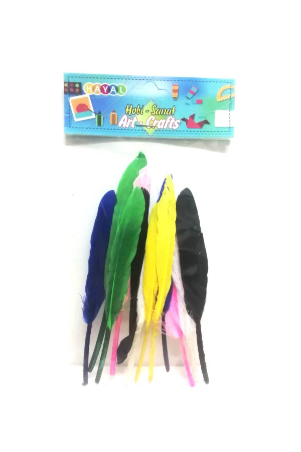 Hayal Sepeti Kuş Tüyü Renkli 12adet Hayal Sepeti Kuş Tüyü Renkli 12adet