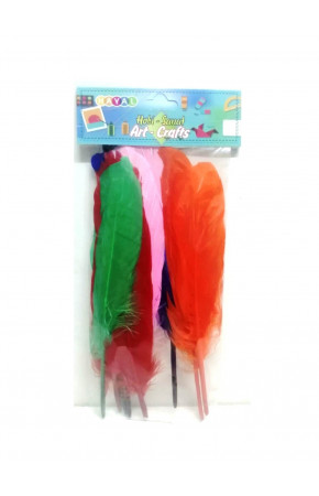 Hayal Sepeti Kuş Tüyü Renkli 10adet Hayal Sepeti Kuş Tüyü Renkli 10adet