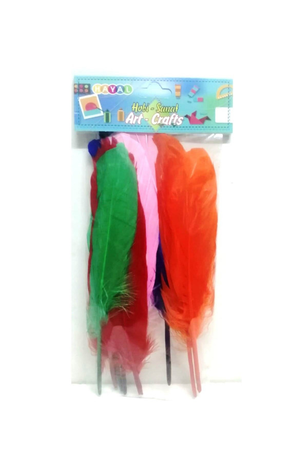 Hayal Sepeti Kuş Tüyü Renkli 10adet