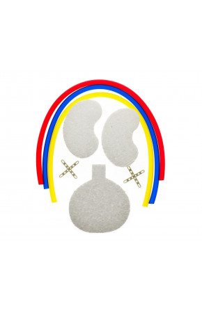 Boşaltım Sistemi Yapım Seti Boşaltım Sistemi Yapım Seti