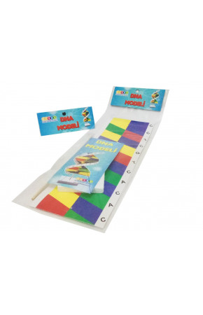 Dna Sarmalı Modeli Dna Sarmalı Modeli