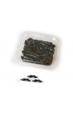 Plastik Bıyık 100 Adetli İş Eğitimi Malzemesi Plastik Bıyık 100 Adetli İş Eğitimi Malzemesi