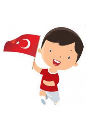 Çıtalı Türk Bayrağı 100'lü Küçük Boy
